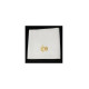 Unteroffizier mit goldenem IHS-Muster